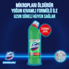 Domestos Yoğun Kıvamlı Çamaşır Suyu Dağ Esintisi 750 ml x 4'lü