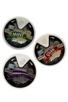 SWEET FRESH ŞEKERSİZ ŞEKER KARMA STAND - ÜÇ LEZZET - 10GR*48'Lİ / NANE - ÇİLEK - ORMAN MEYVELİ