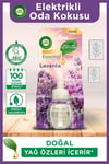 Air Wick Elektrikli Oda Kokusu Yedek Lavanta