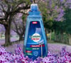 Morni̇ng Fresh Bulaşik Maki̇na Parlatici (709 ml)