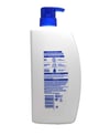 Head&Shoulders Mentol Ferahlığı Şampuan 800 Ml