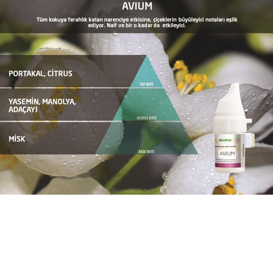 Rulopak Avium Koku Kartuşu 100 ml (M5-M6)