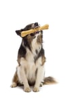 Eva & Walle Doğal Köpek Pres Kemiği Naturel 5' Li 13cm 75-80 Gr Orta Irk Ve Yetişkin Küçük Irk