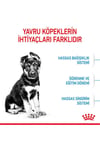 Royal Canin Maxi Puppy 15 Kg Yavru Kuru Köpek Maması