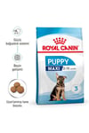 Royal Canin Maxi Puppy 15 Kg Yavru Kuru Köpek Maması